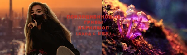 шишки Сафоново