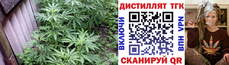 kraken tor  Константиновск  ТГК Wax 