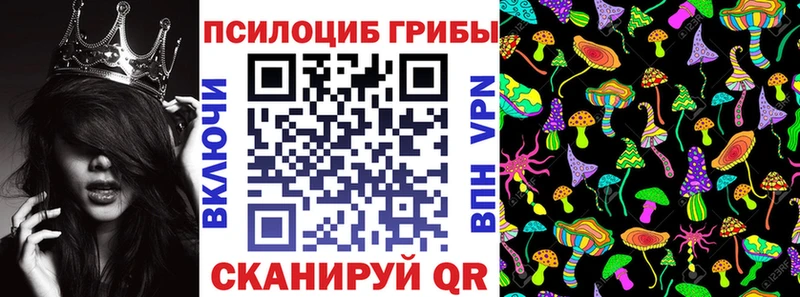 Псилоцибиновые грибы Cubensis  хочу наркоту  Константиновск 